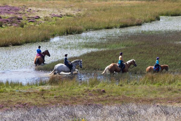 Horse riding in Wales