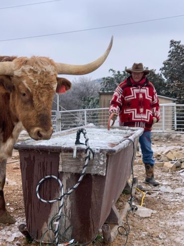 RANCH FOREMAN AND A TEXAS LONGHORN