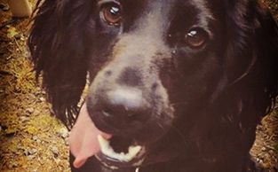 Those eyes Lady Havanna