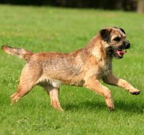 Lovely hand strip by one of our students