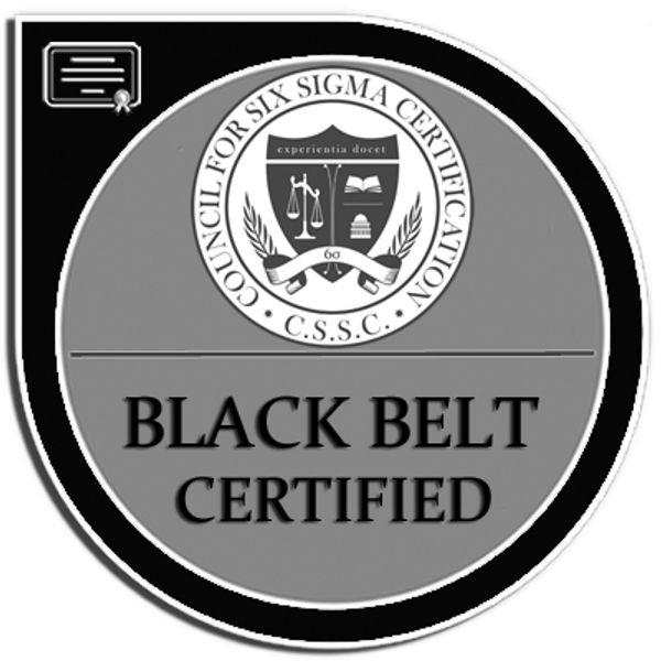 Lean Six Sigma Black Belt Certified