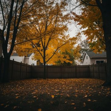 Autumn leaves fall in a fenced backyard with houses nearby.
