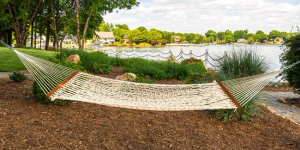 Empty hammock tied between two trees near a lakeside.
