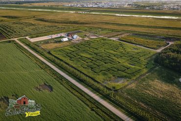 Drone Photography Winnipeg