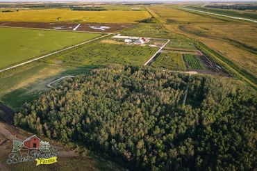 Drone Photography Winnipeg