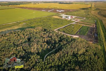 Drone Photography Winnipeg