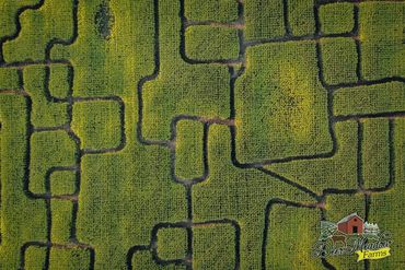 Drone Photography Winnipeg