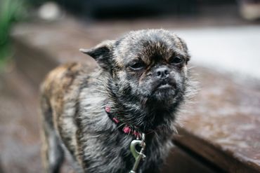 Wedding Photography Winnipeg www.photographwinnipeg.ca