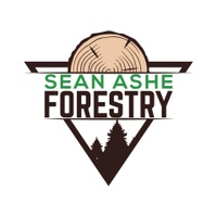 Sean Ashe Forestry 