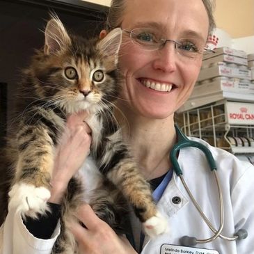 Veterinarian holding a fluffy kitten and smiling warmly.