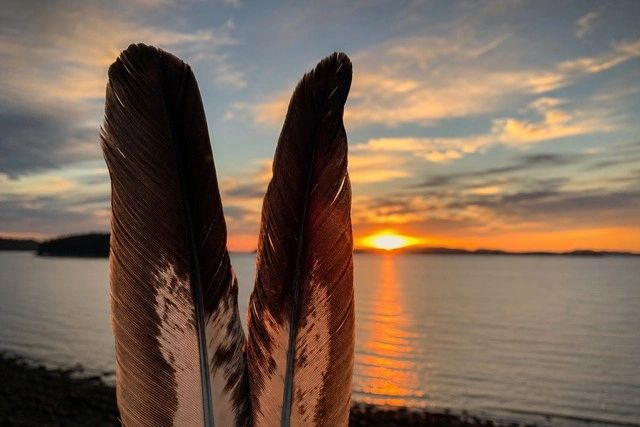 Two feathers held up against a sunset by the water.