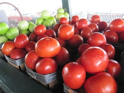 delicious tomatoes at forneris farms