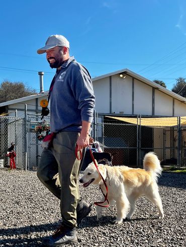 Elite Pup Training image