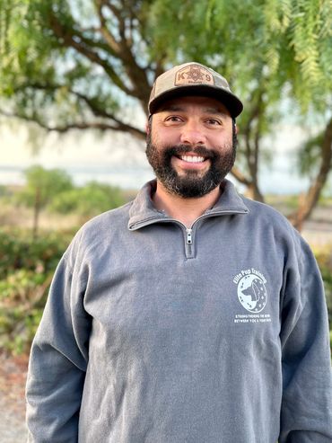 Elite Pup Training image