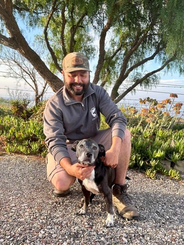 Elite Pup Training image of dog