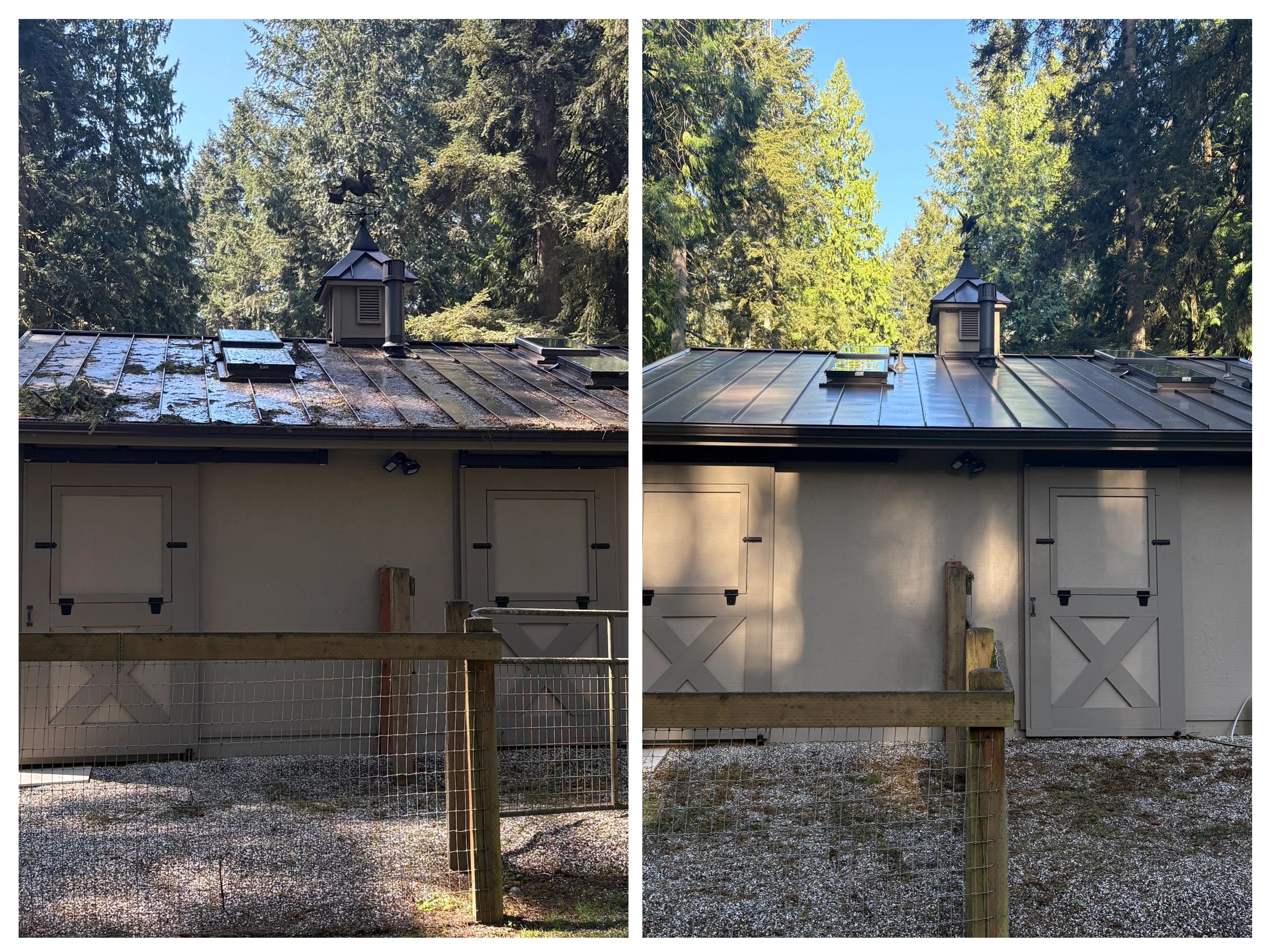 A side-by-side photo showing a roof before and after cleaning.