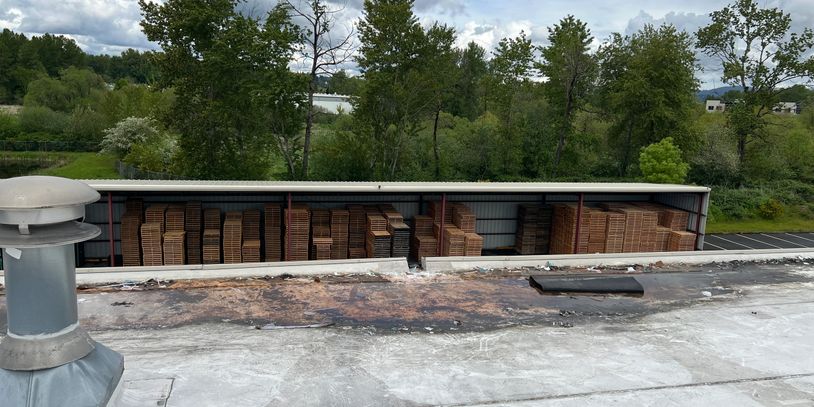 Stacks of wooden pallets stored under a metal shelter near trees and cloudy sky.