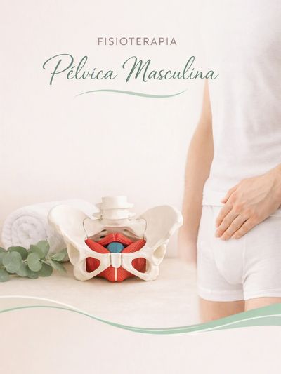 Fisioterapia pélvica masculina com modelo anatômico.