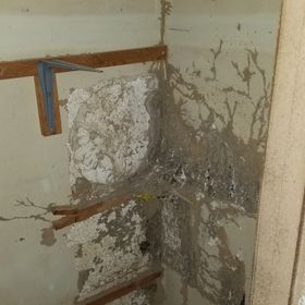 Termite damage in Memphis investment home
