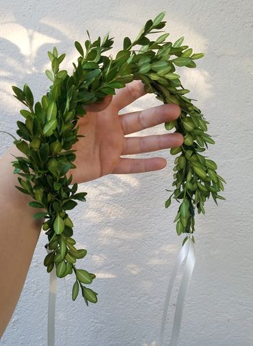 boxwood crown