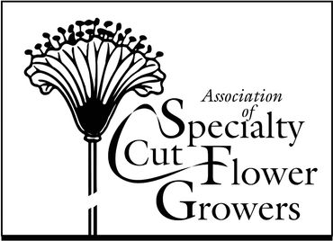 Member, Association of Specialty Cut Flower Growers