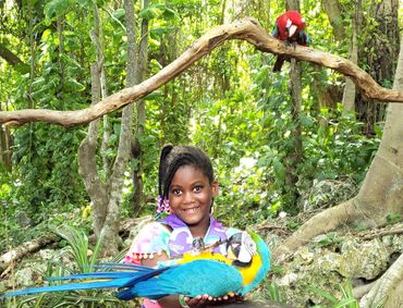 Child holding a parrot