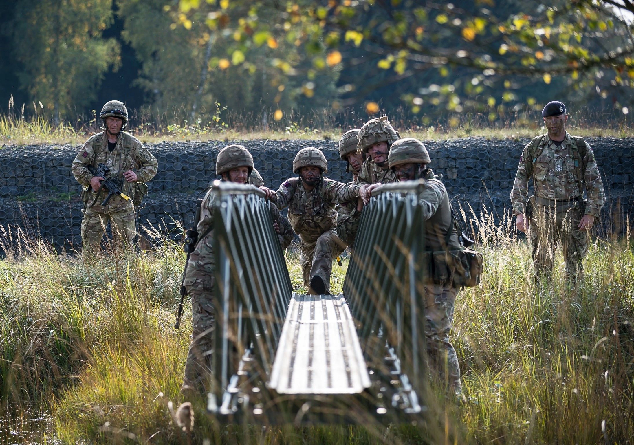 The British Army's military engineers