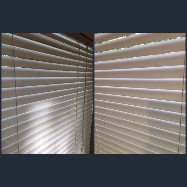 Cleaning blinds that haven't been cleaned in years.