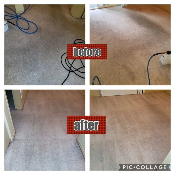 Carpet steam clean using hot water extraction and power brushing.
