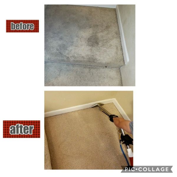 Carpet steam cleaning and counter rotating power scrubbing on stairs.