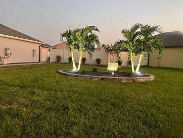 Two lit palm trees in a landscaped yard at dusk.