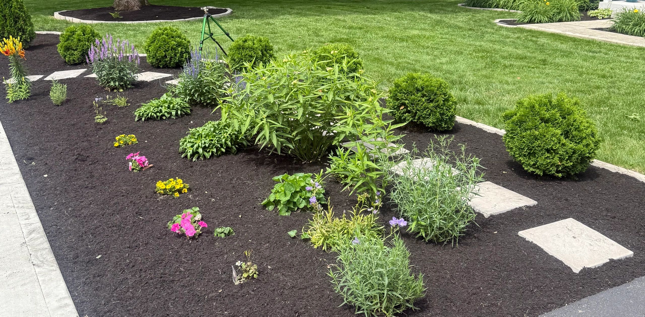 Newly planted garden with mulch and stepping stones.