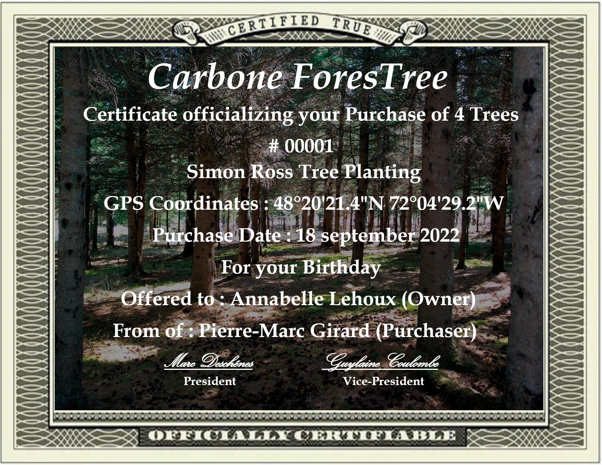 Certificat de compensation carbone