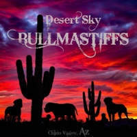 Desert Sky Bullmastiffs