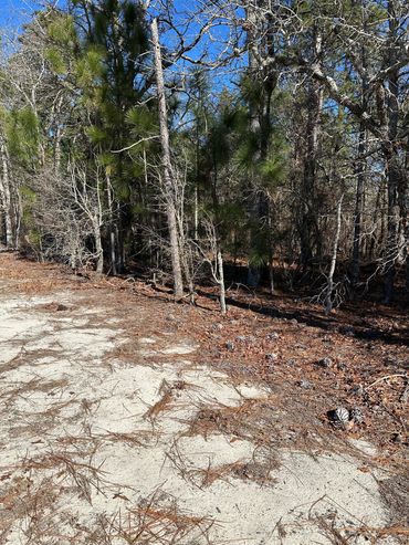 Before and After pictures