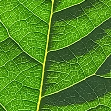 vast knowledge of healing modalities