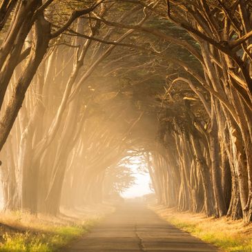 Hip pain - bone-on-bone hips