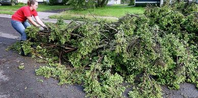 Photo of yard debris (branches, leaves) — representing yard waste removal