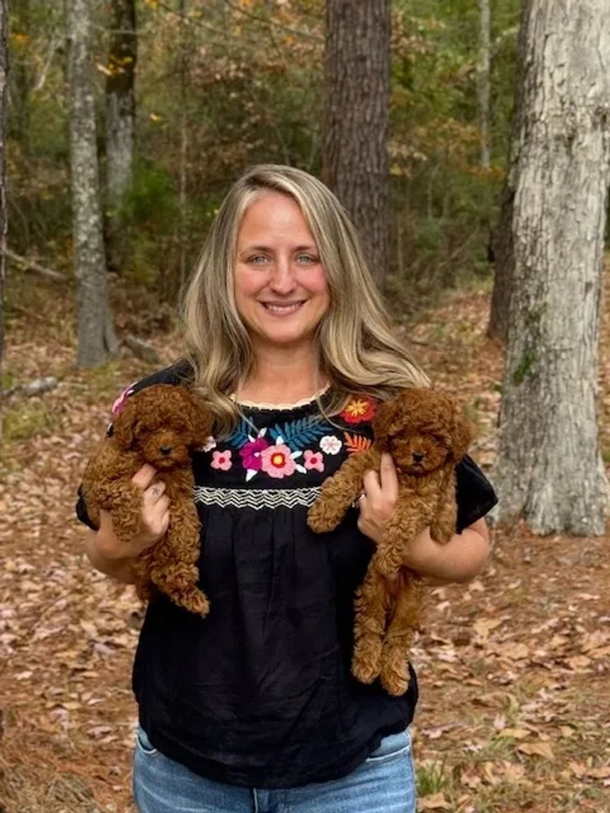 Toy Poodle breeder holding two adorable puppies