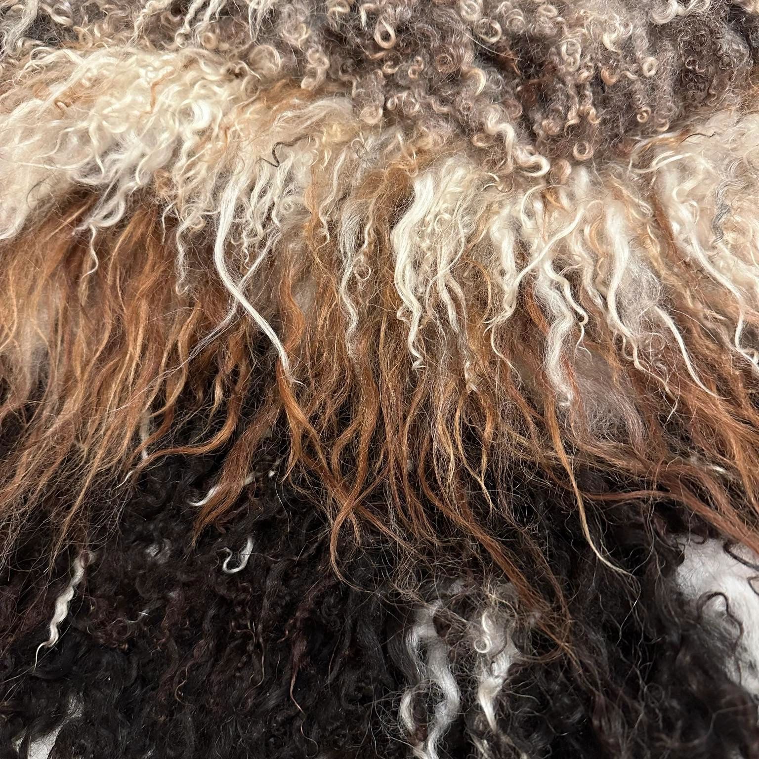 The joy of all things fleece