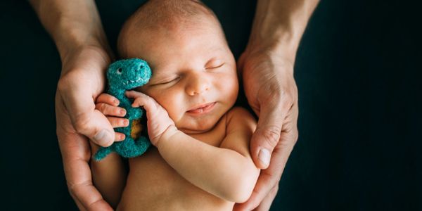 Newborn baby sleeping peacefully while holding a small knitted dinosaur toy, cradled by adult hands.