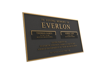 dual series bronze plaque