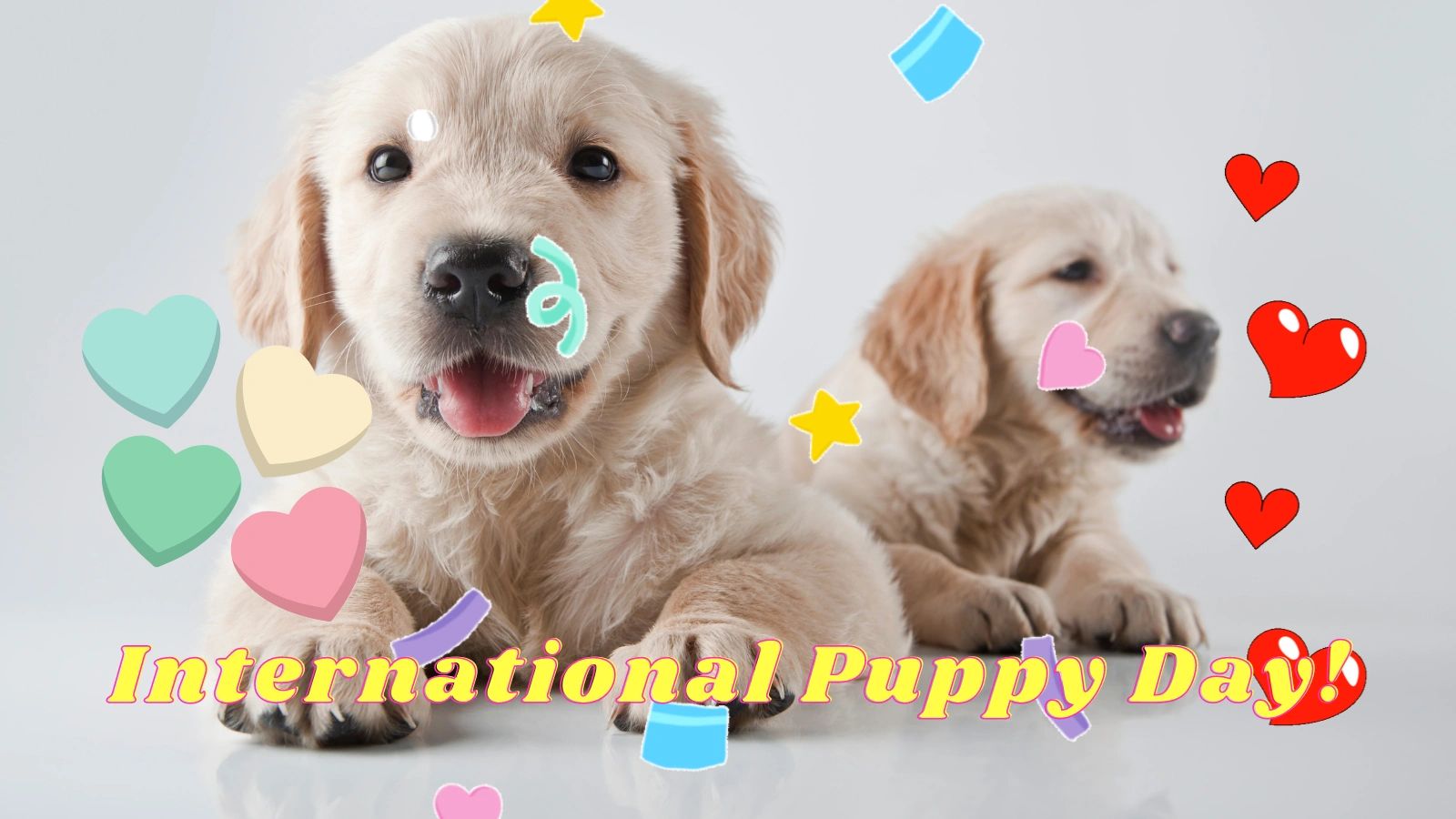 2023 Celebrating International Puppy Day
