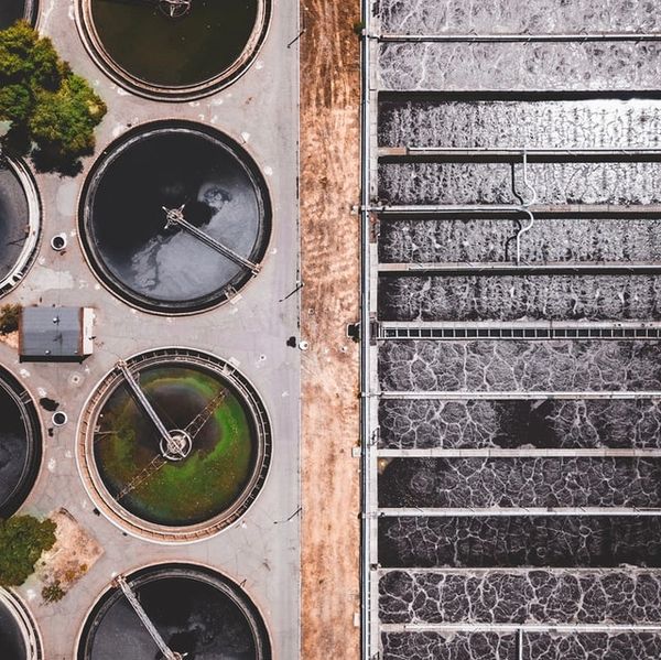 "Sludge management", "Biological treatment", "Sewage treatment", "Industrial wastewater treatment"