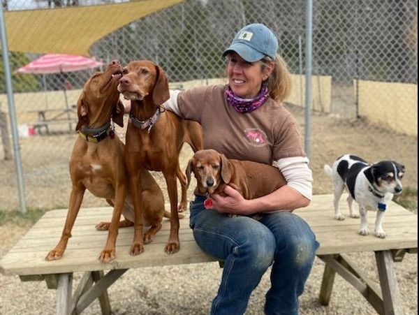 Woman sitting on a bench with three brown dogs and one black and white dog.