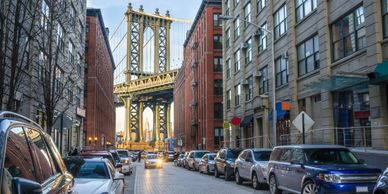 Dumbo