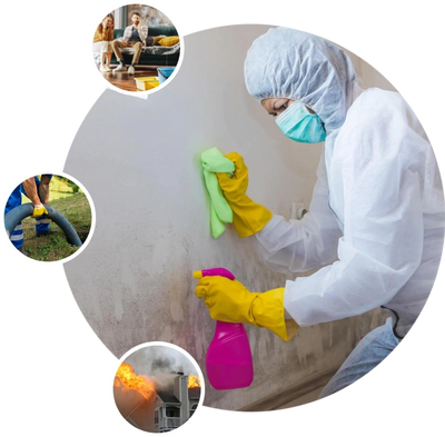 Professional cleaning mold from a wall with supporting images of restoration services