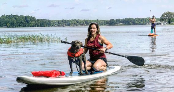 woman and a dog on a paddle board on the lake