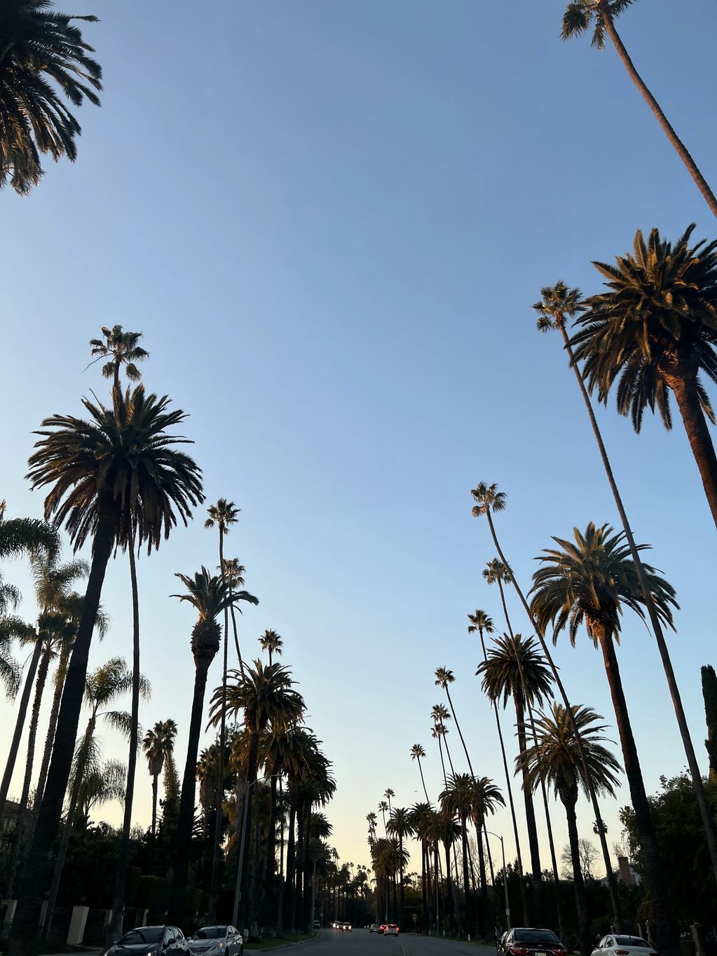 So much to do! So fun! Thanks for helping us plan for Los Angeles. - Tory C
