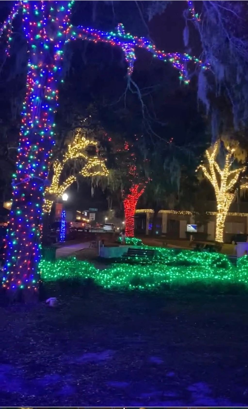 Staycation in Mt Dora FL. Lights are amazing and so many wonderful restaurants! -Trish L